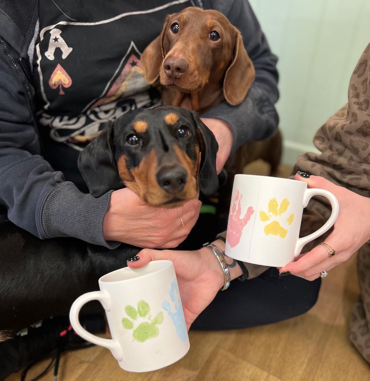 Pet Prints